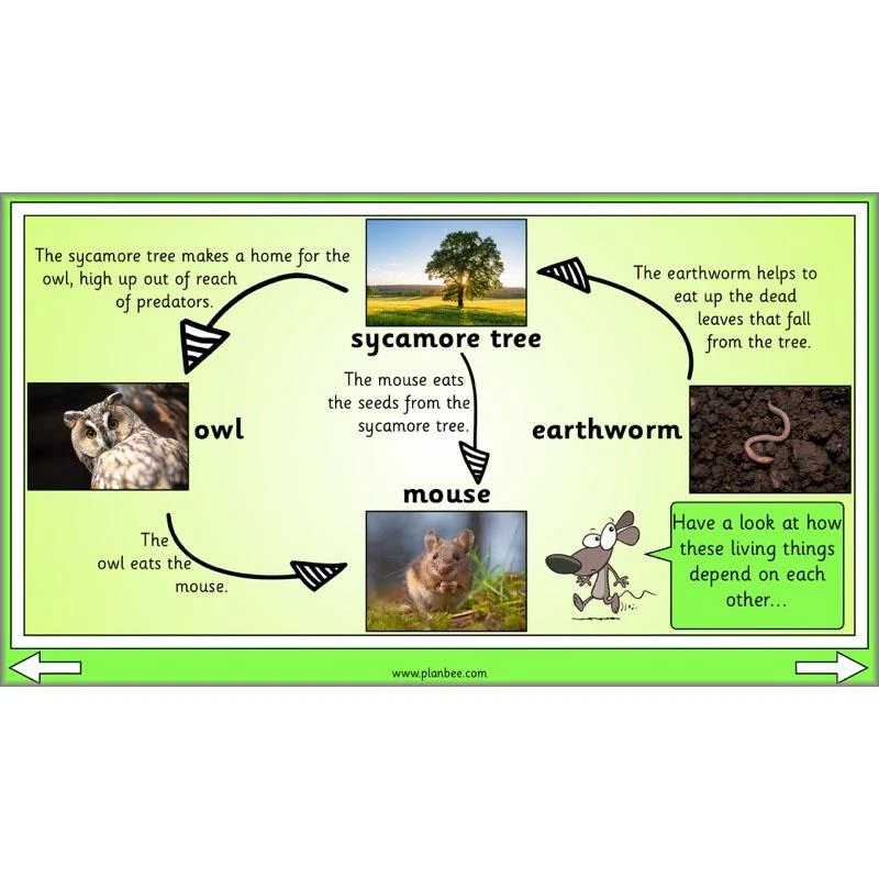 Linking Local Wildlife - Image 4