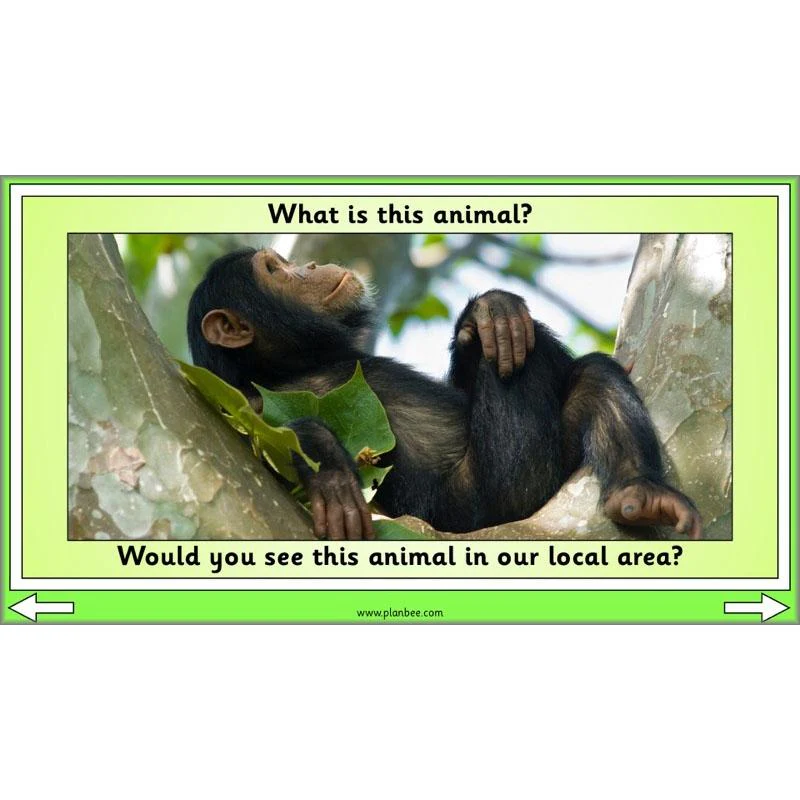 Linking Local Wildlife - Image 5