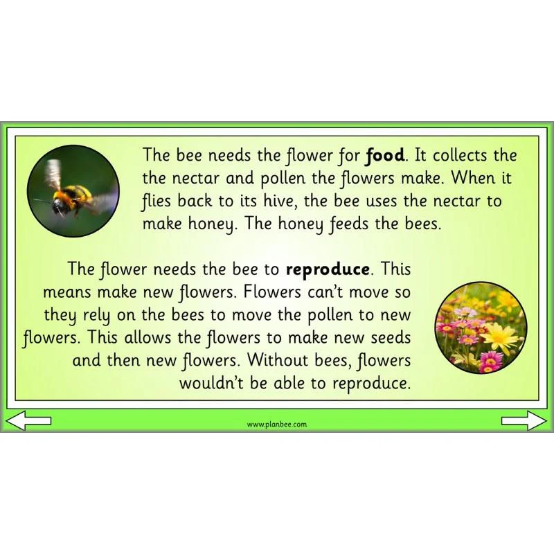 Linking Local Wildlife - Image 7