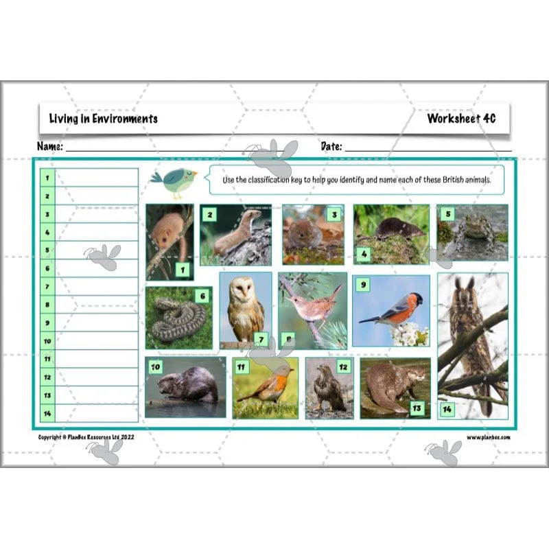 Living in Environments - Image 14