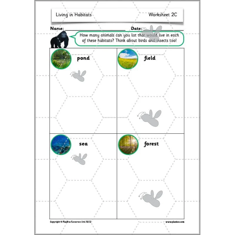 Living in Habitats - Image 11