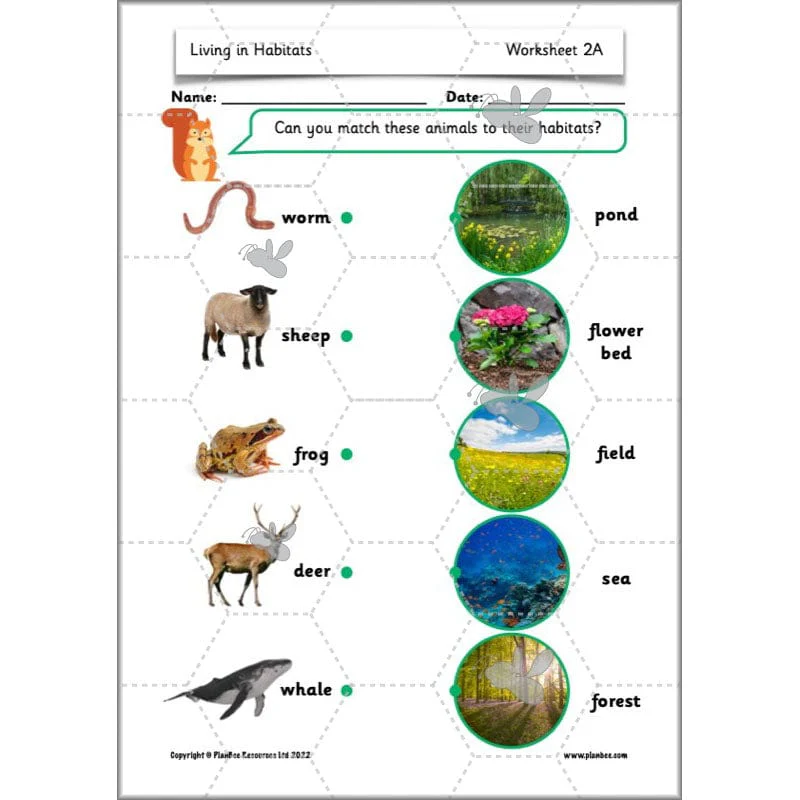 Living in Habitats - Image 33