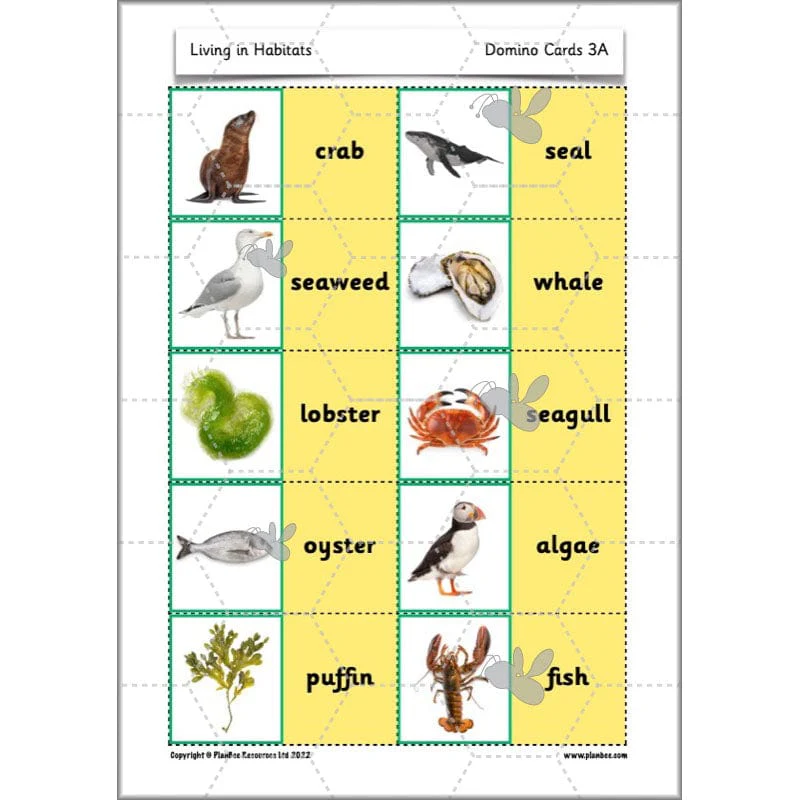 Living in Habitats - Image 41