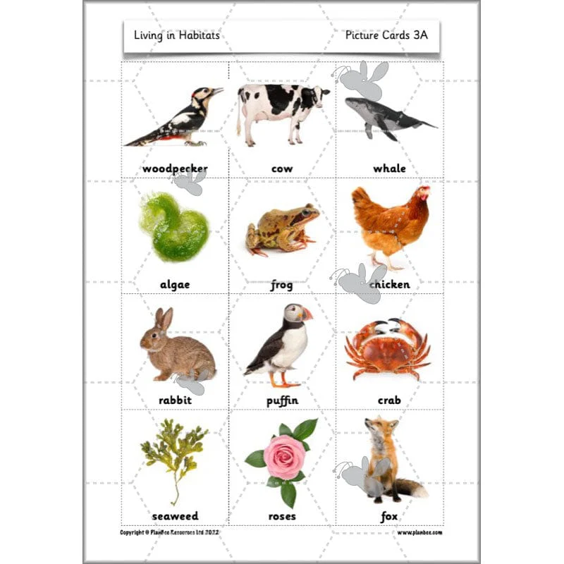 Living in Habitats - Image 43