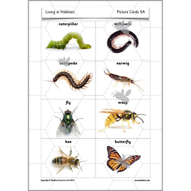 Living in Habitats - Image 59