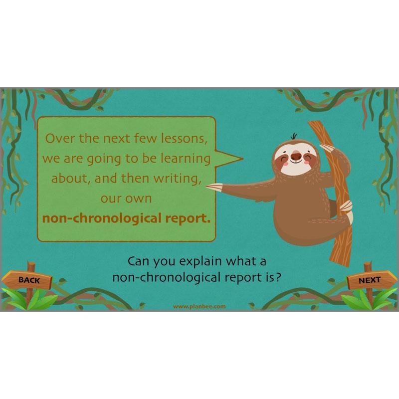Lost in the Rainforest: Non-chronological Reports - Image 10