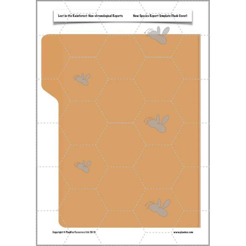 Lost in the Rainforest: Non-chronological Reports - Image 20