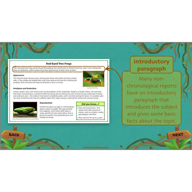 Lost in the Rainforest: Non-chronological Reports - Image 28