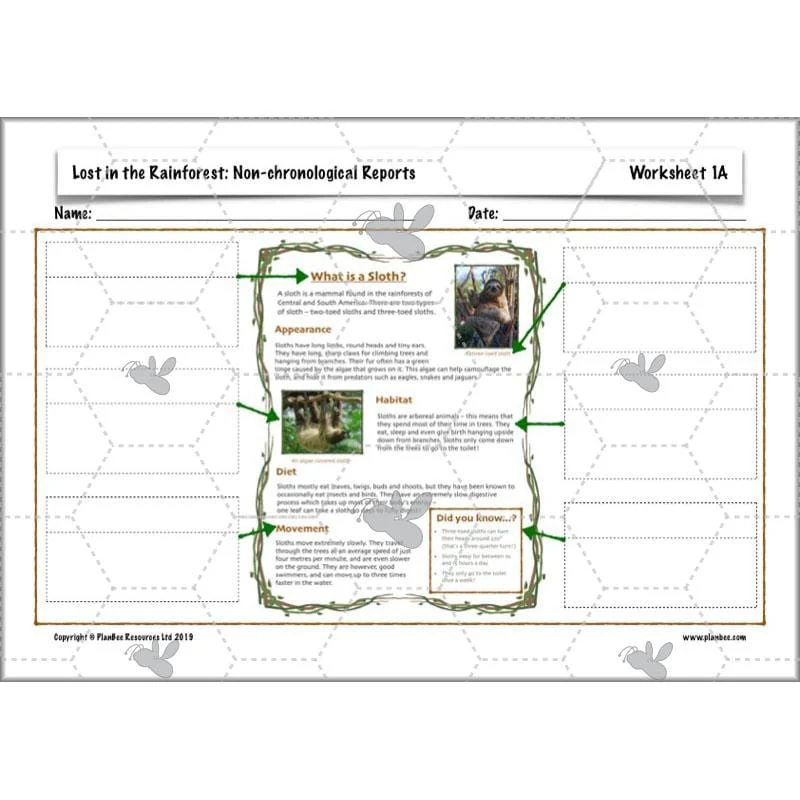 Lost in the Rainforest: Non-chronological Reports - Image 30