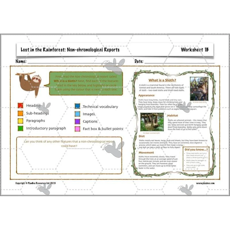 Lost in the Rainforest: Non-chronological Reports - Image 31