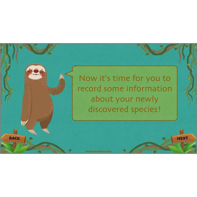 Lost in the Rainforest: Non-chronological Reports - Image 37