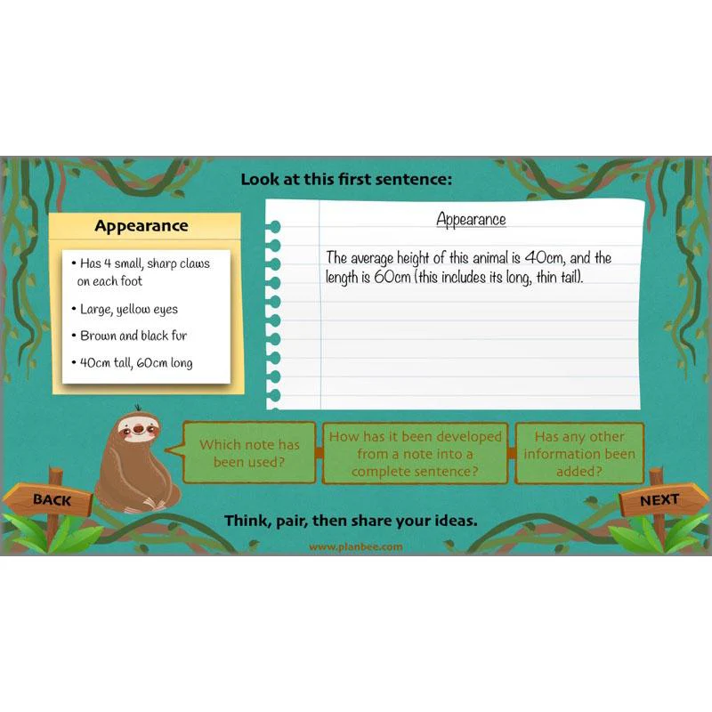 Lost in the Rainforest: Non-chronological Reports - Image 50