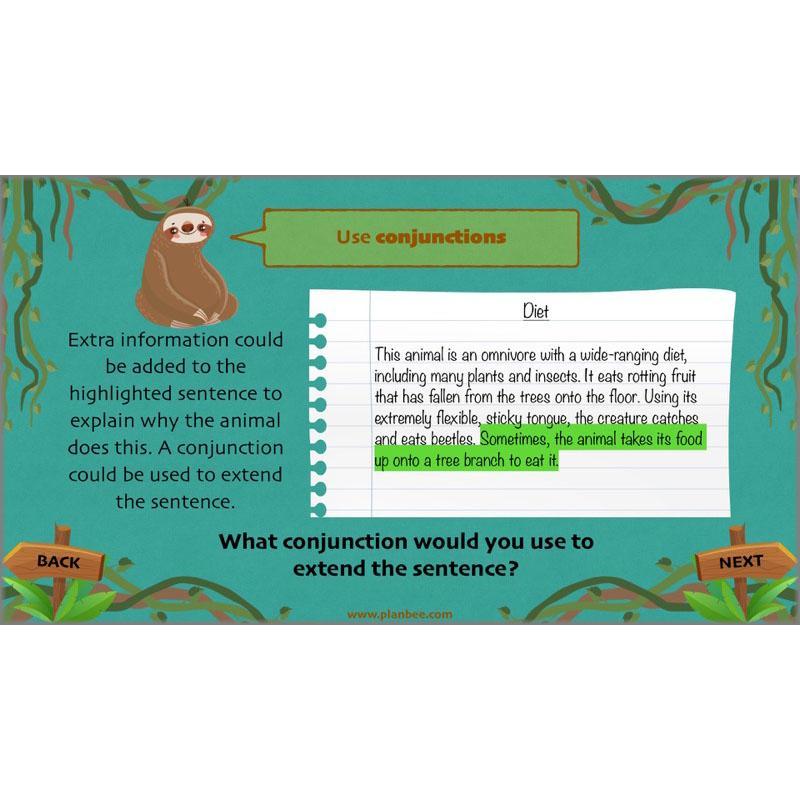 Lost in the Rainforest: Non-chronological Reports - Image 6