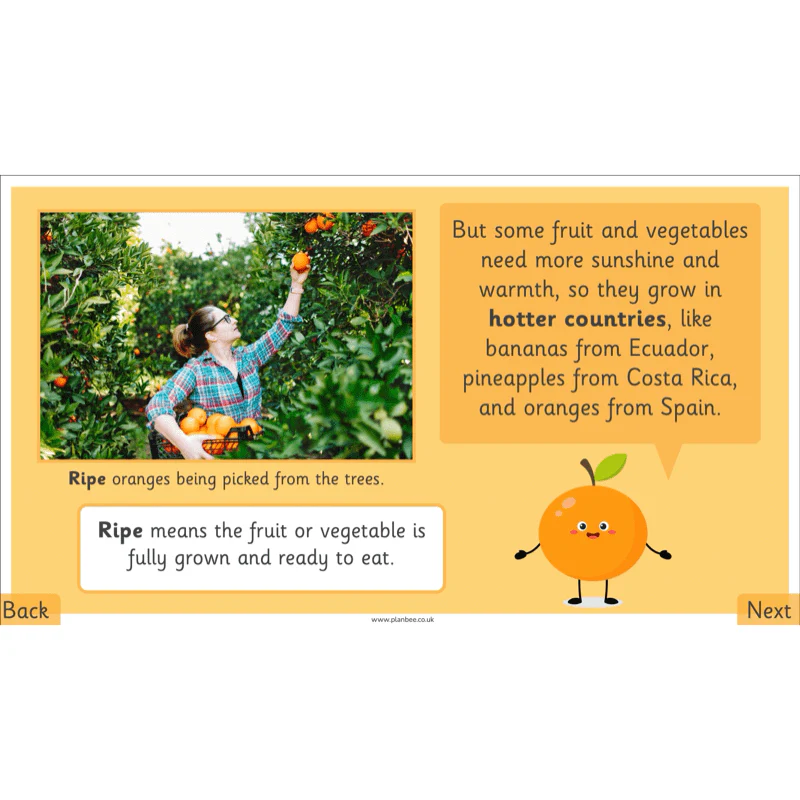 Making Healthy Snacks - Image 24