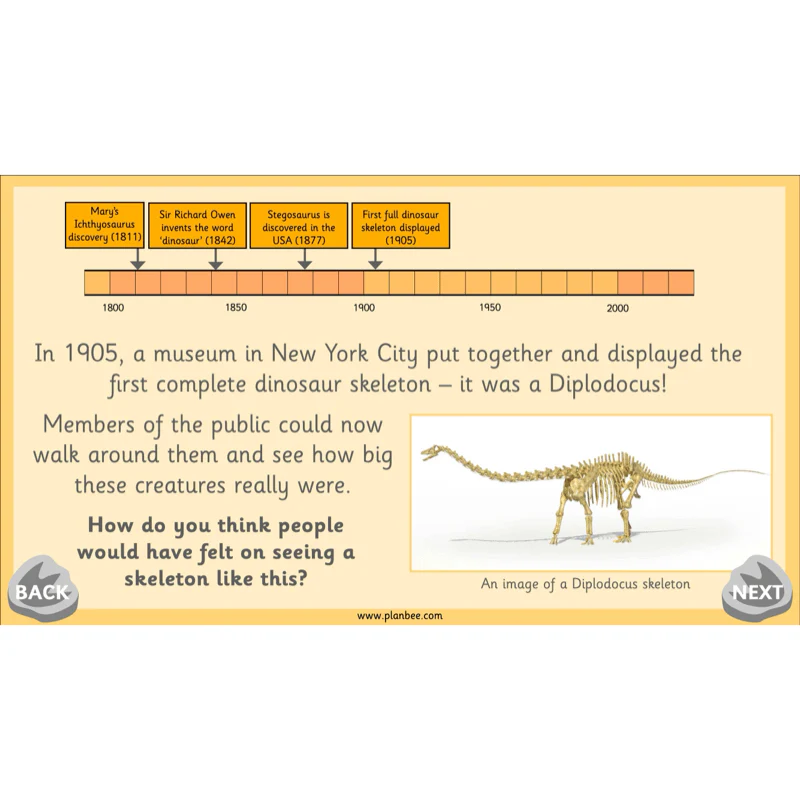 Mary Anning KS1 - Image 10