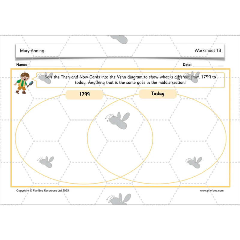Mary Anning KS1 - Image 13