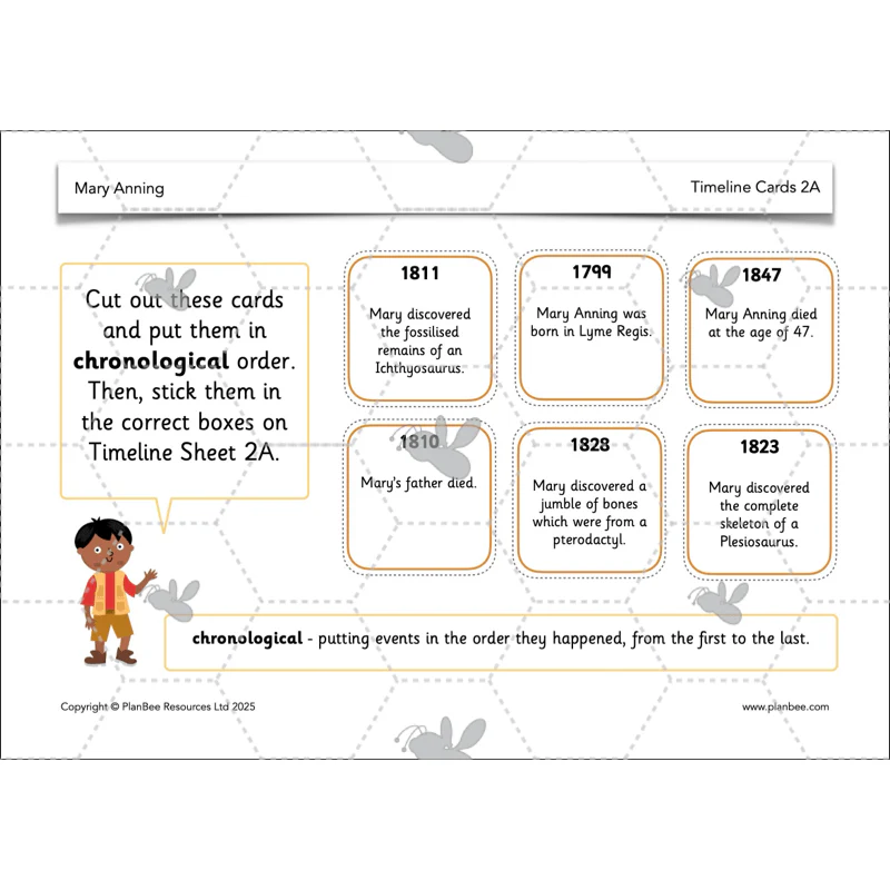 Mary Anning KS1 - Image 14