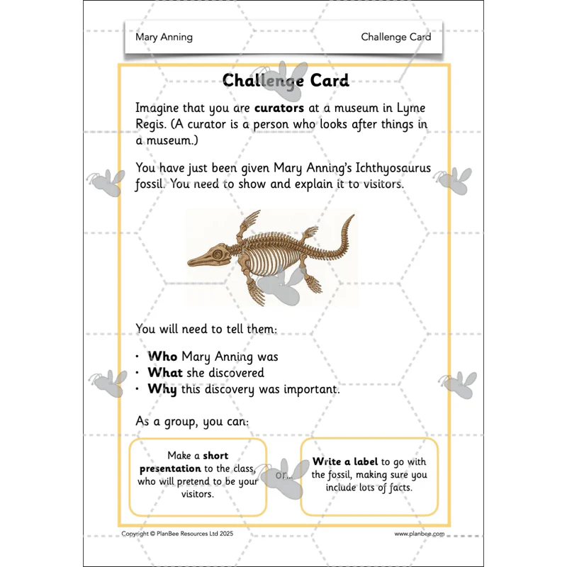 Mary Anning KS1 - Image 15