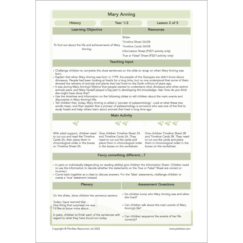 Mary Anning KS1 - Image 19