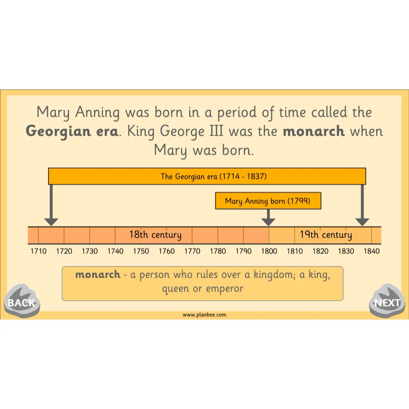 Mary Anning KS1 - Image 22