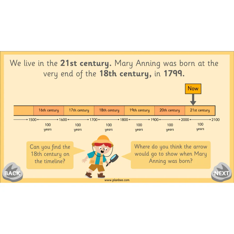 Mary Anning KS1 - Image 3