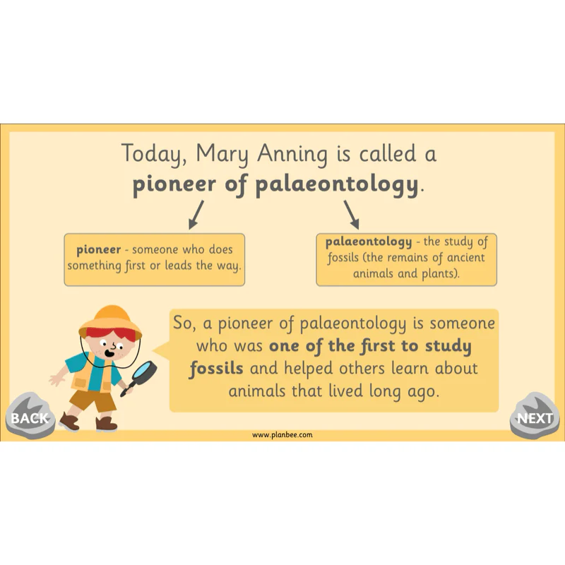 Mary Anning KS1 - Image 32