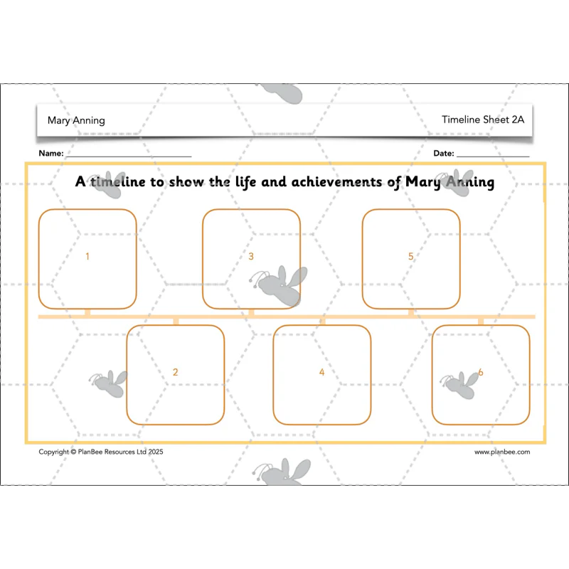 Mary Anning KS1 - Image 33
