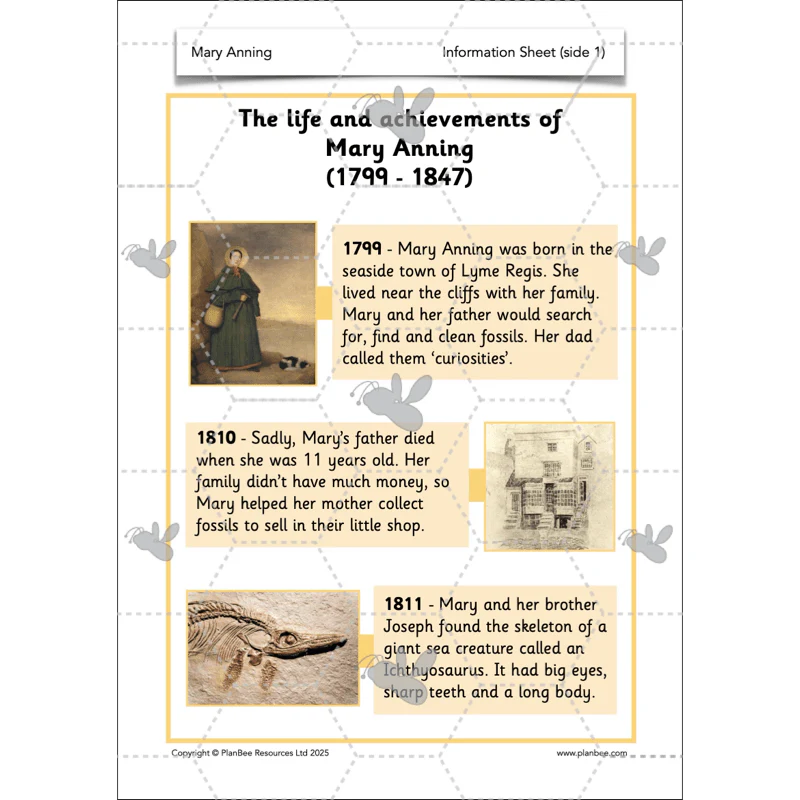 Mary Anning KS1 - Image 34
