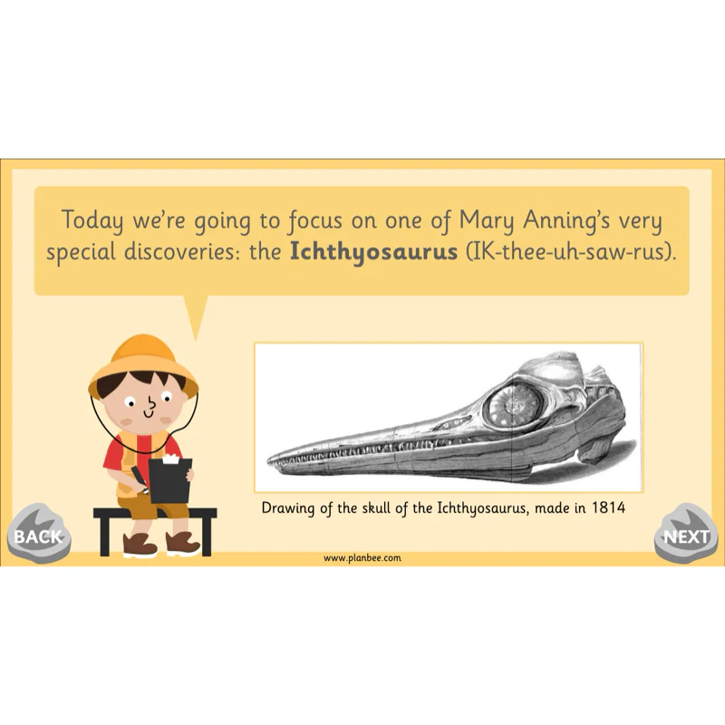 Mary Anning KS1 - Image 37