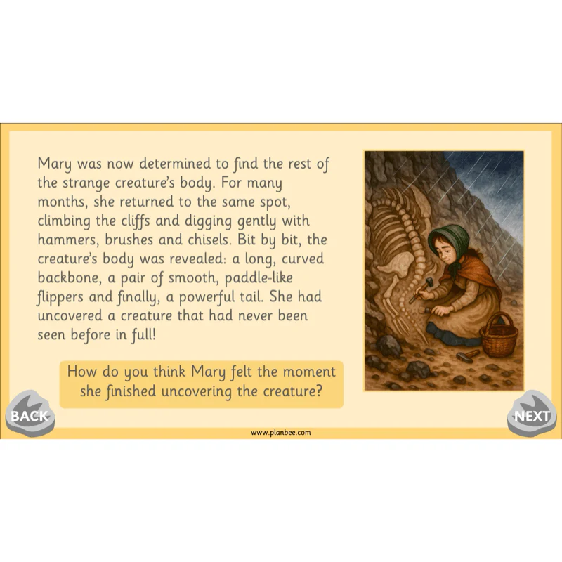 Mary Anning KS1 - Image 40