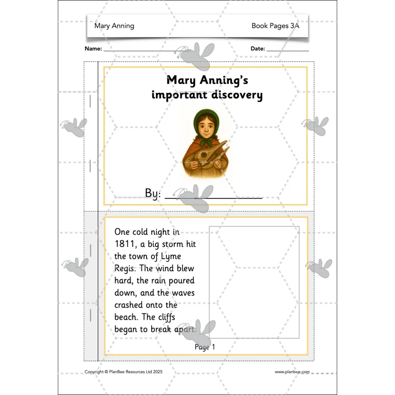 Mary Anning KS1 - Image 41