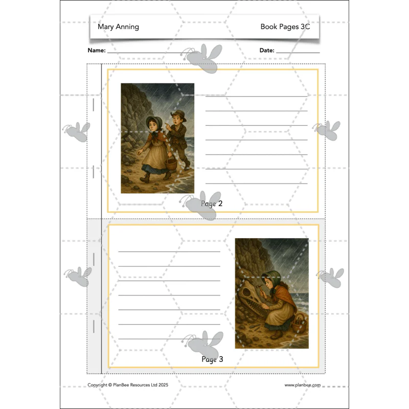 Mary Anning KS1 - Image 42
