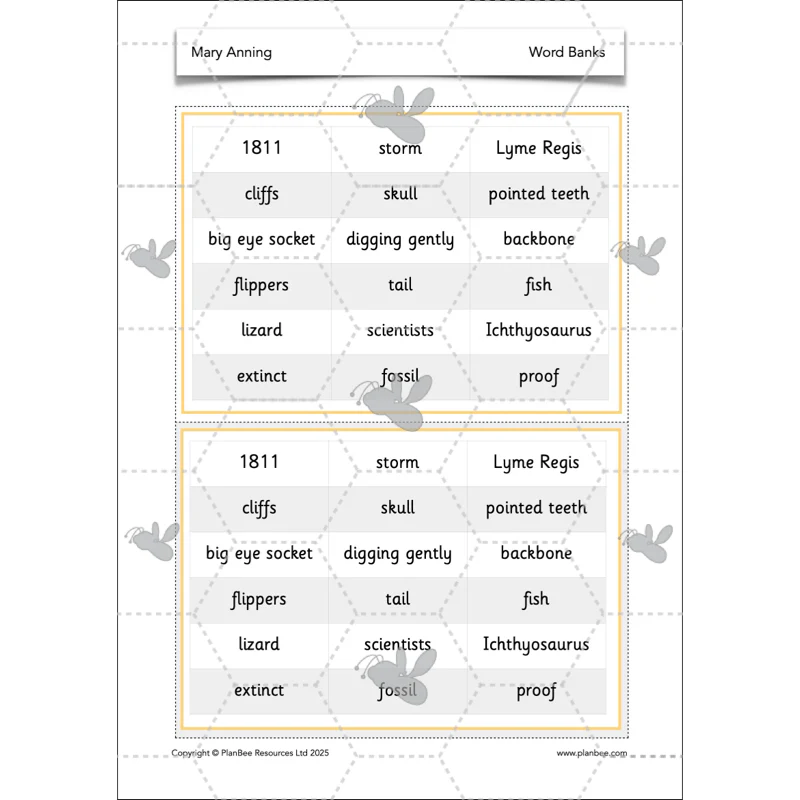 Mary Anning KS1 - Image 43