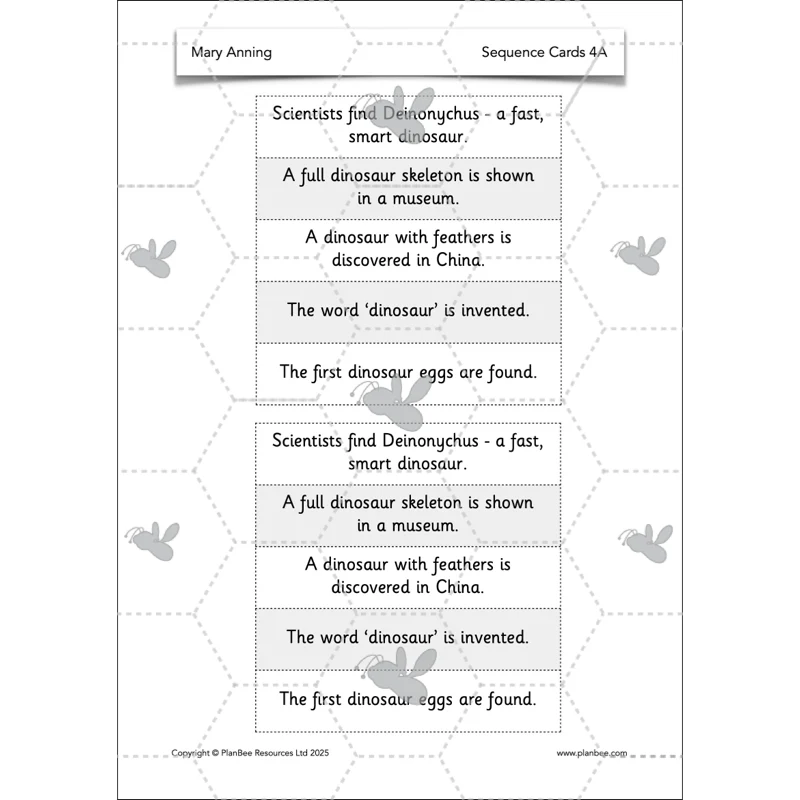 Mary Anning KS1 - Image 50