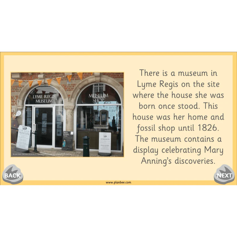 Mary Anning KS1 - Image 56