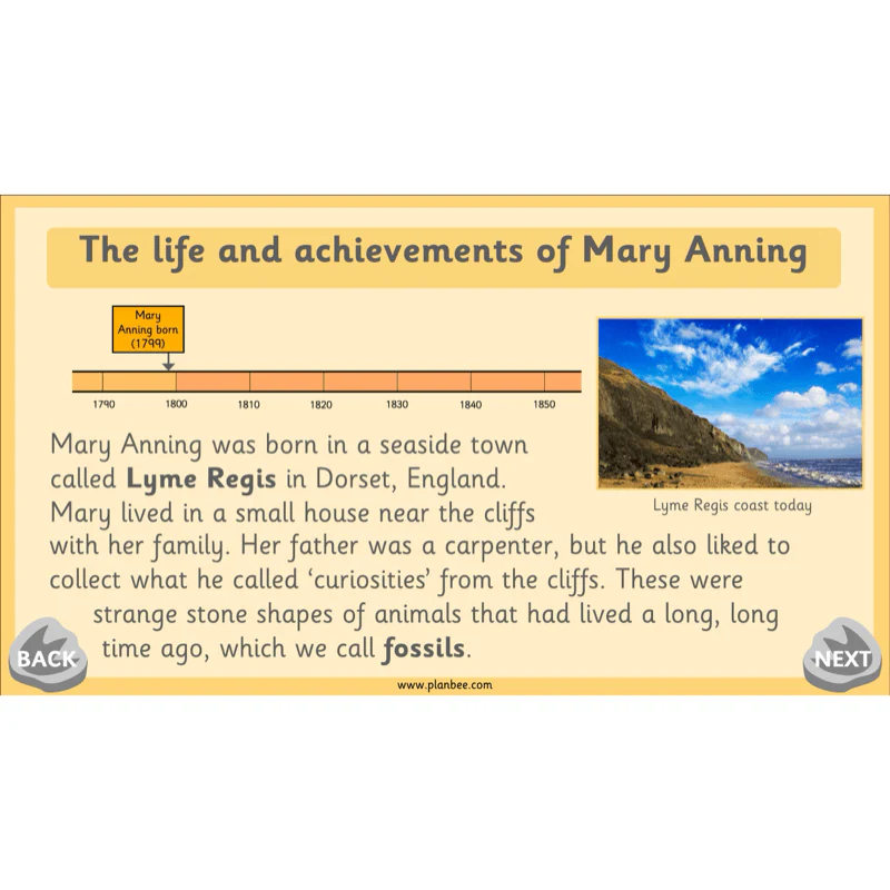 Mary Anning KS1 - Image 6
