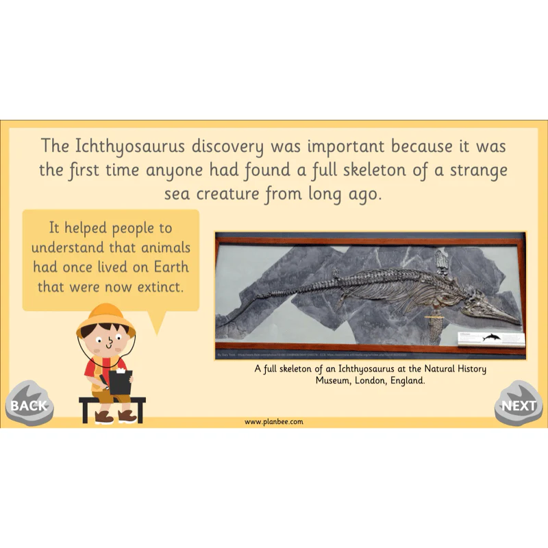 Mary Anning KS1 - Image 8