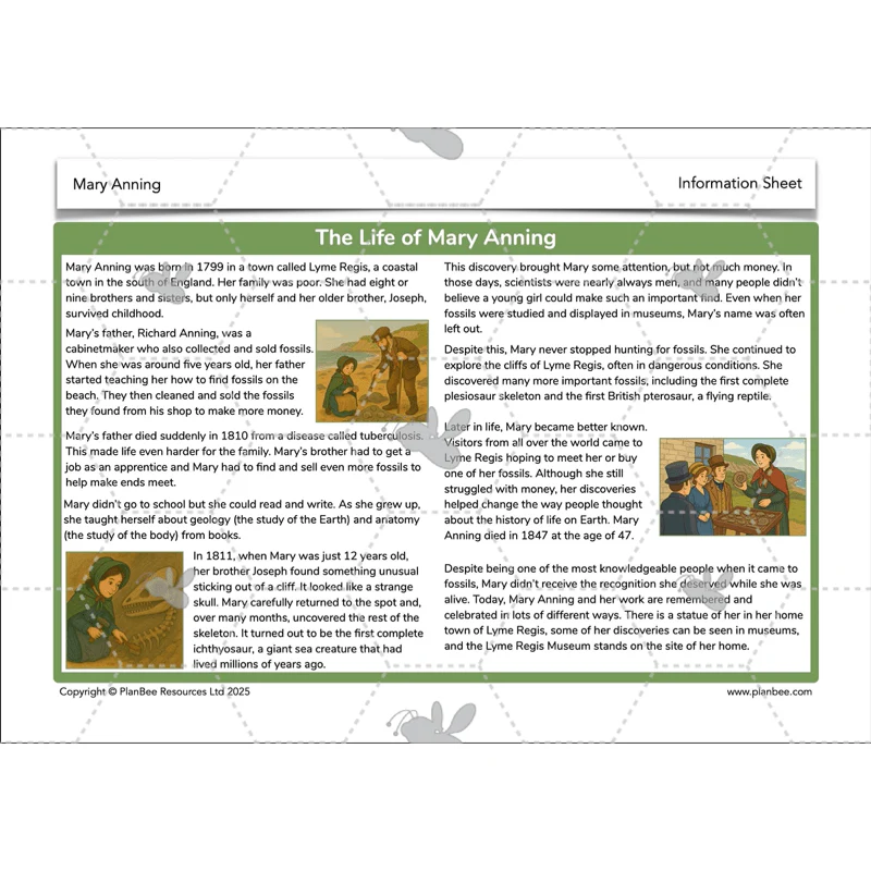 Mary Anning KS2 - Image 10