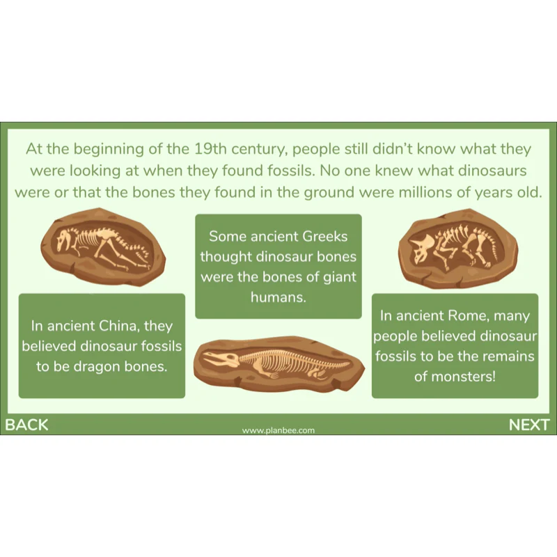 Mary Anning KS2 - Image 4