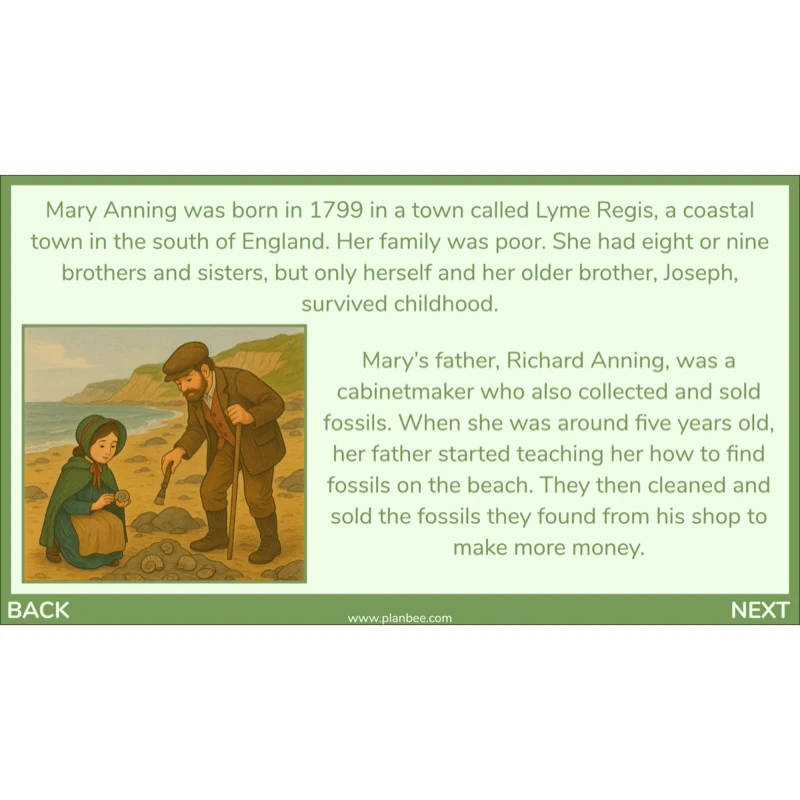 Mary Anning KS2 - Image 5