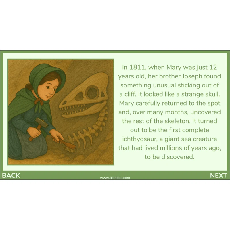 Mary Anning KS2 - Image 6