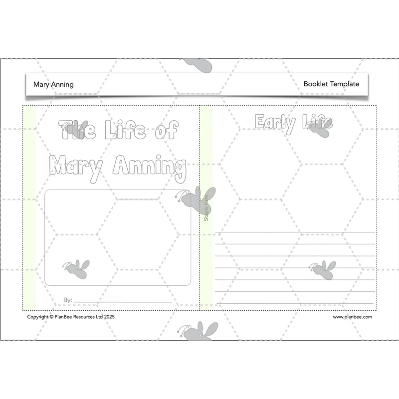 Mary Anning KS2 - Image 9