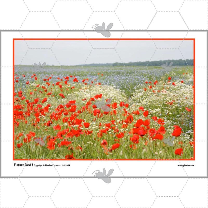 Monet and the Impressionists - Image 34
