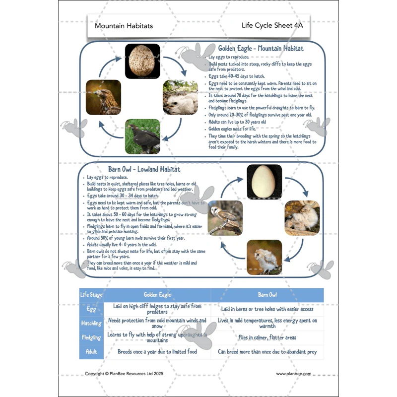 Mountain Habitats - Image 16