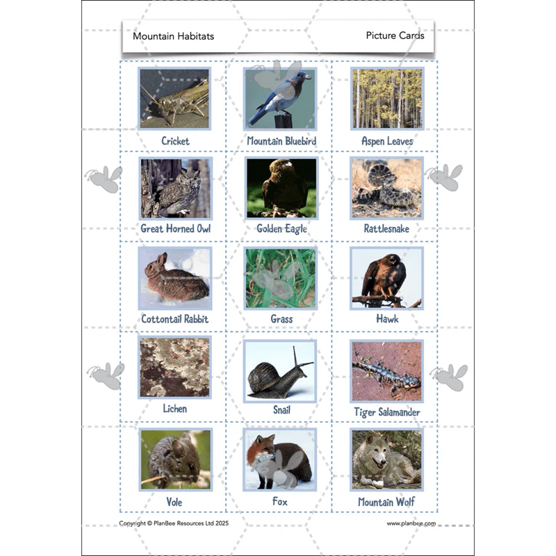Mountain Habitats - Image 27