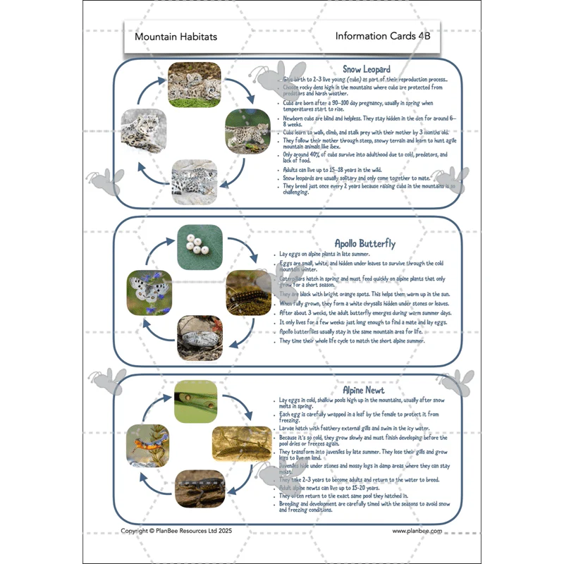 Mountain Habitats - Image 51