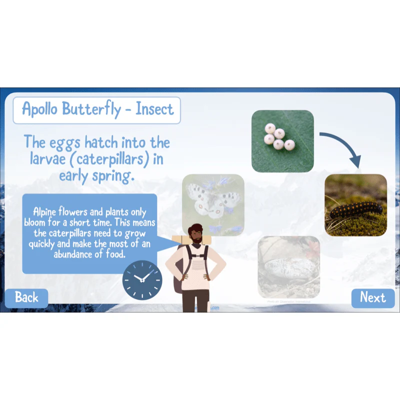 Mountain Habitats - Image 9