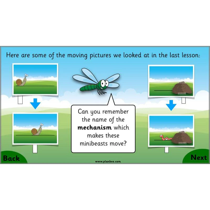 Moving Minibeasts - Image 34