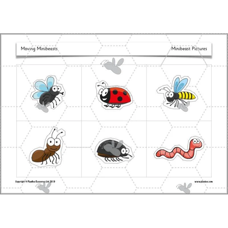 Moving Minibeasts - Image 62