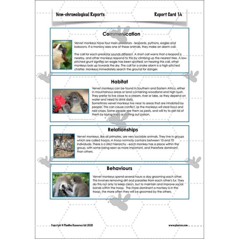 Non-chronological Reports - Image 28